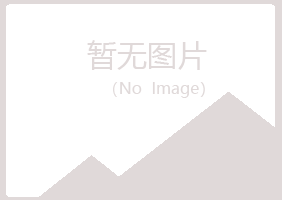 龙岩夜山化学有限公司